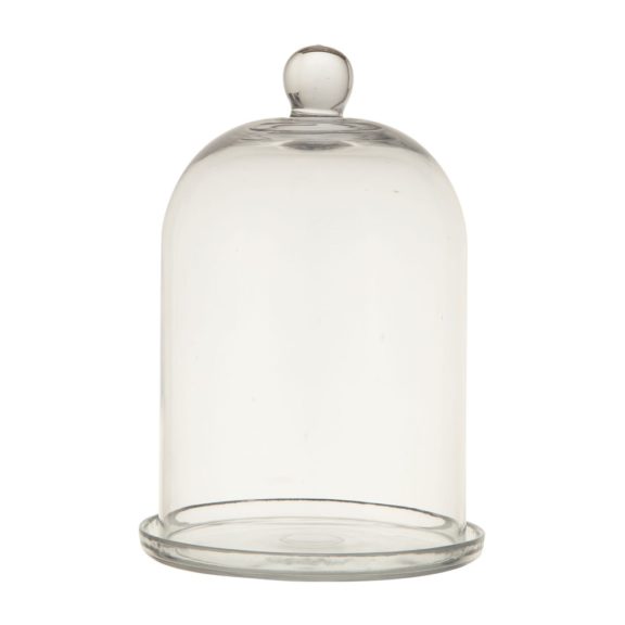 Glass Cloche With Plate