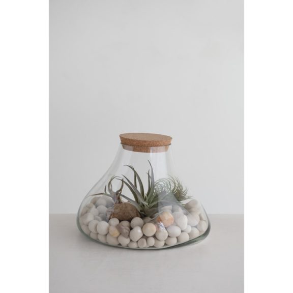 Glass Terrarium Jar With Cork Lid