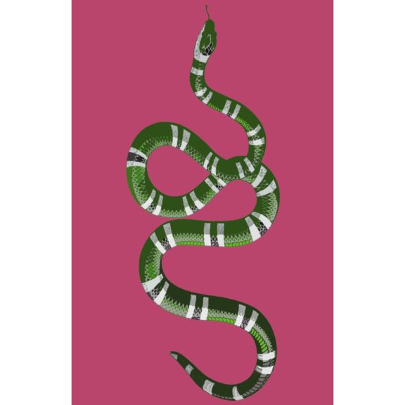 NICOLETTE MAYER Serpent Raspberry Acrylic Tray (22.5 x 14.5)