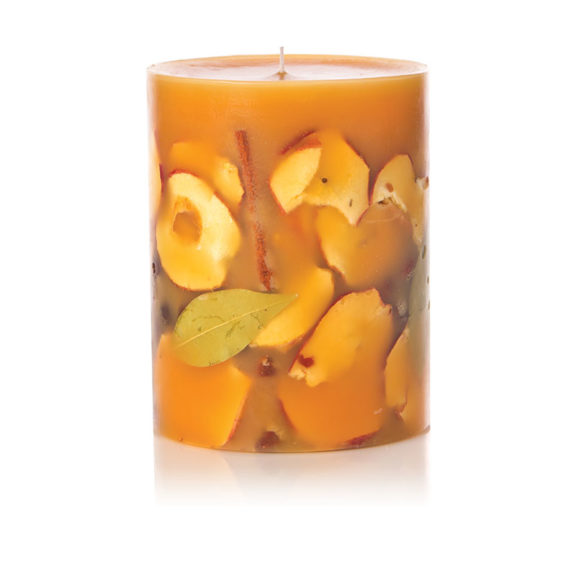 ROSY RINGS Spicy Apple Round Botanical Candle - Dog & Pony Show