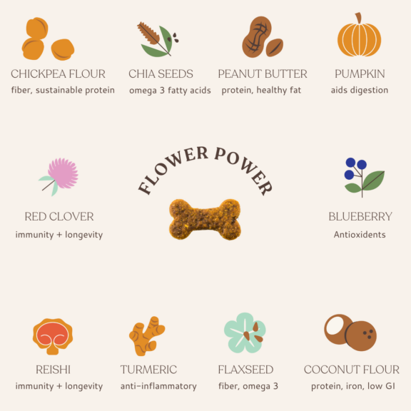 BOTANICAL BONES Superfood Dog Treats - Flower Power